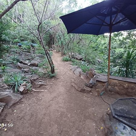 Adorable Unique Guest House - African Bush Feel Kalkheuvel Екстер'єр фото