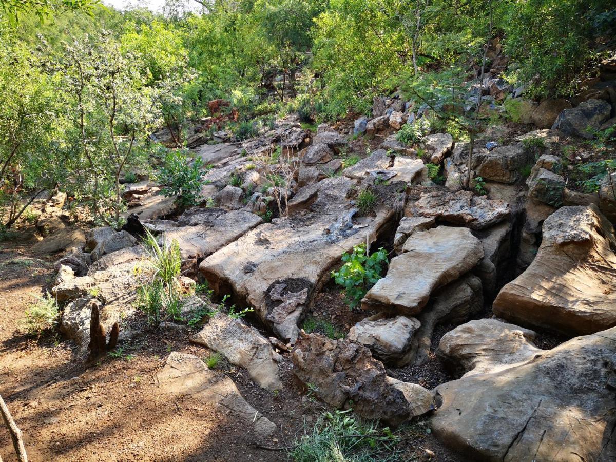 Adorable Unique Guest House - African Bush Feel Kalkheuvel Екстер'єр фото