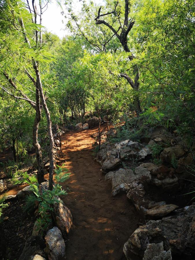 Adorable Unique Guest House - African Bush Feel Kalkheuvel Екстер'єр фото