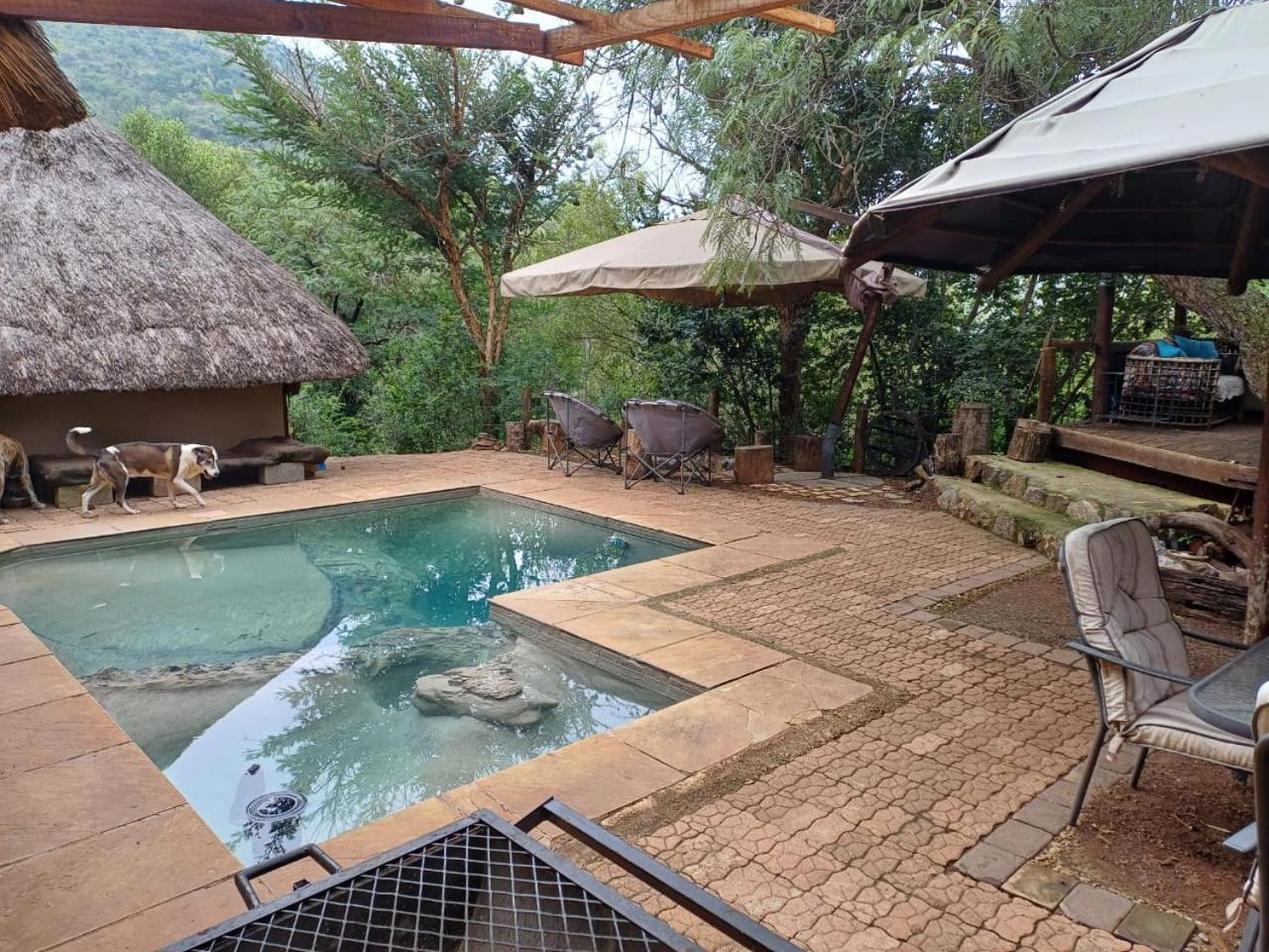 Adorable Unique Guest House - African Bush Feel Kalkheuvel Екстер'єр фото